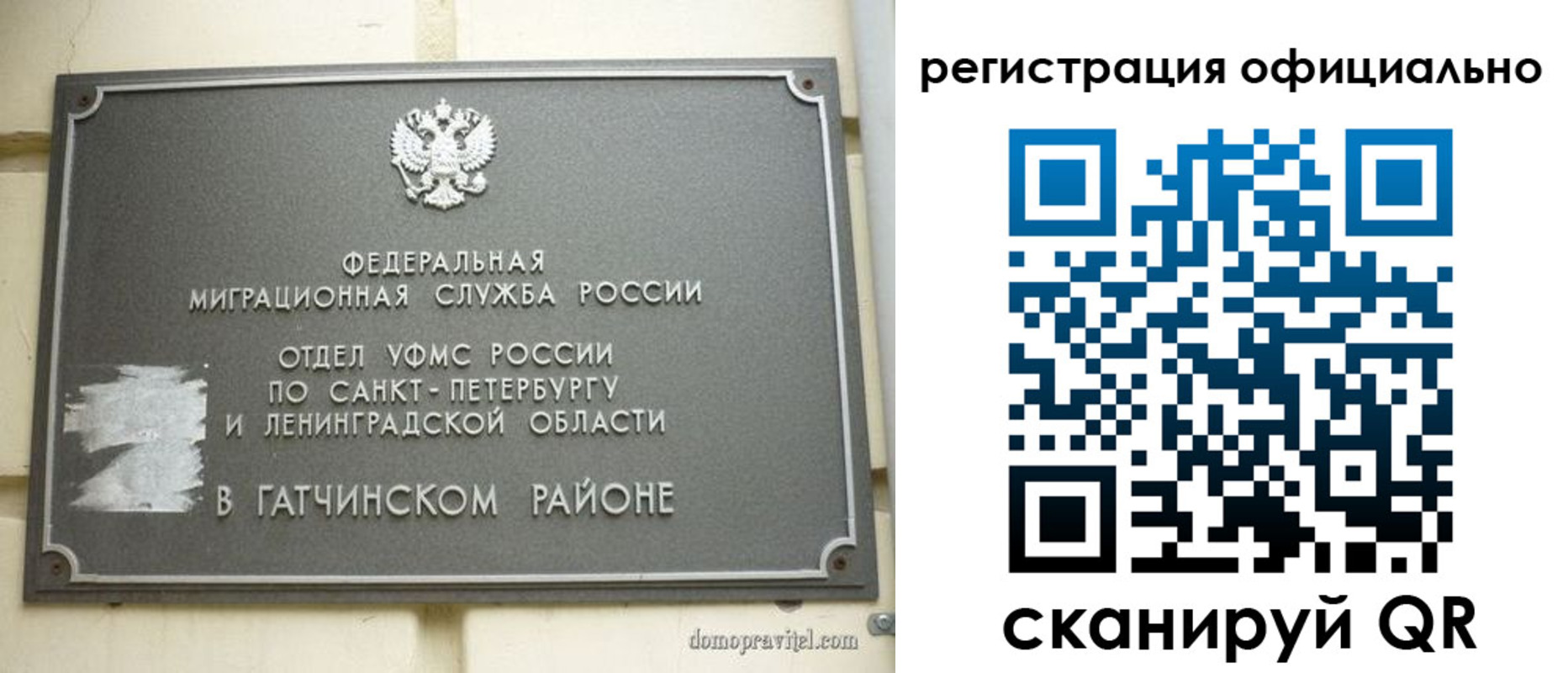 купить прописку в Курской области